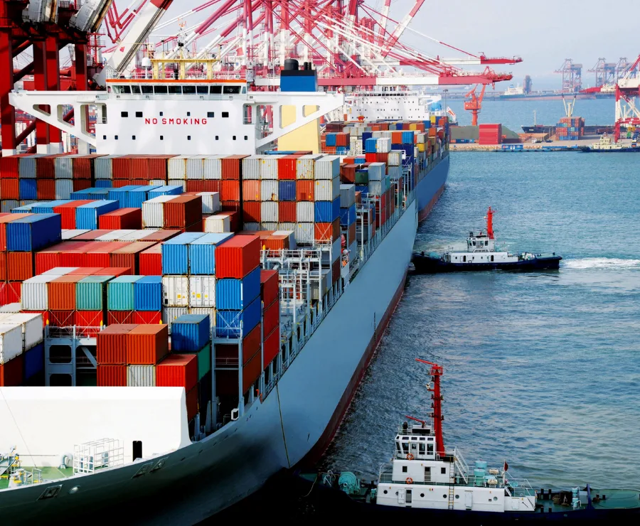 A customs declaration form in Chinese language with printed fields and official stamps.